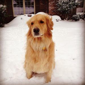 Meet your Posher, Karla